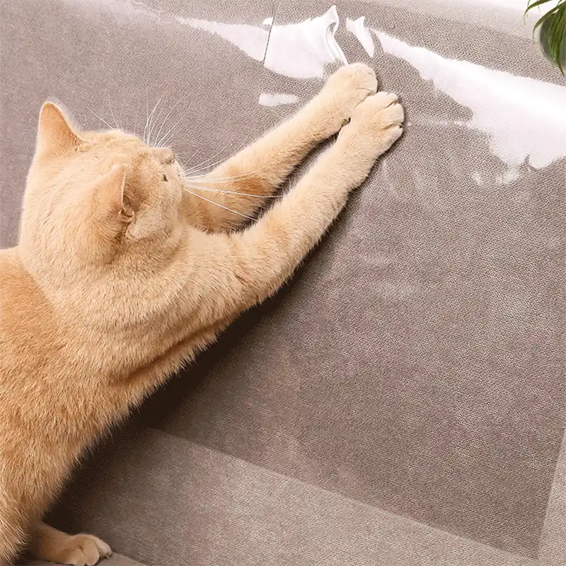 猫の引っかき防止テープ